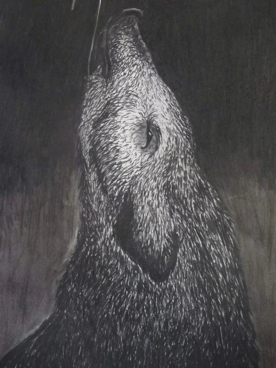 Human Nature, Fusain sur papier, 2019 — Julie Humbert
