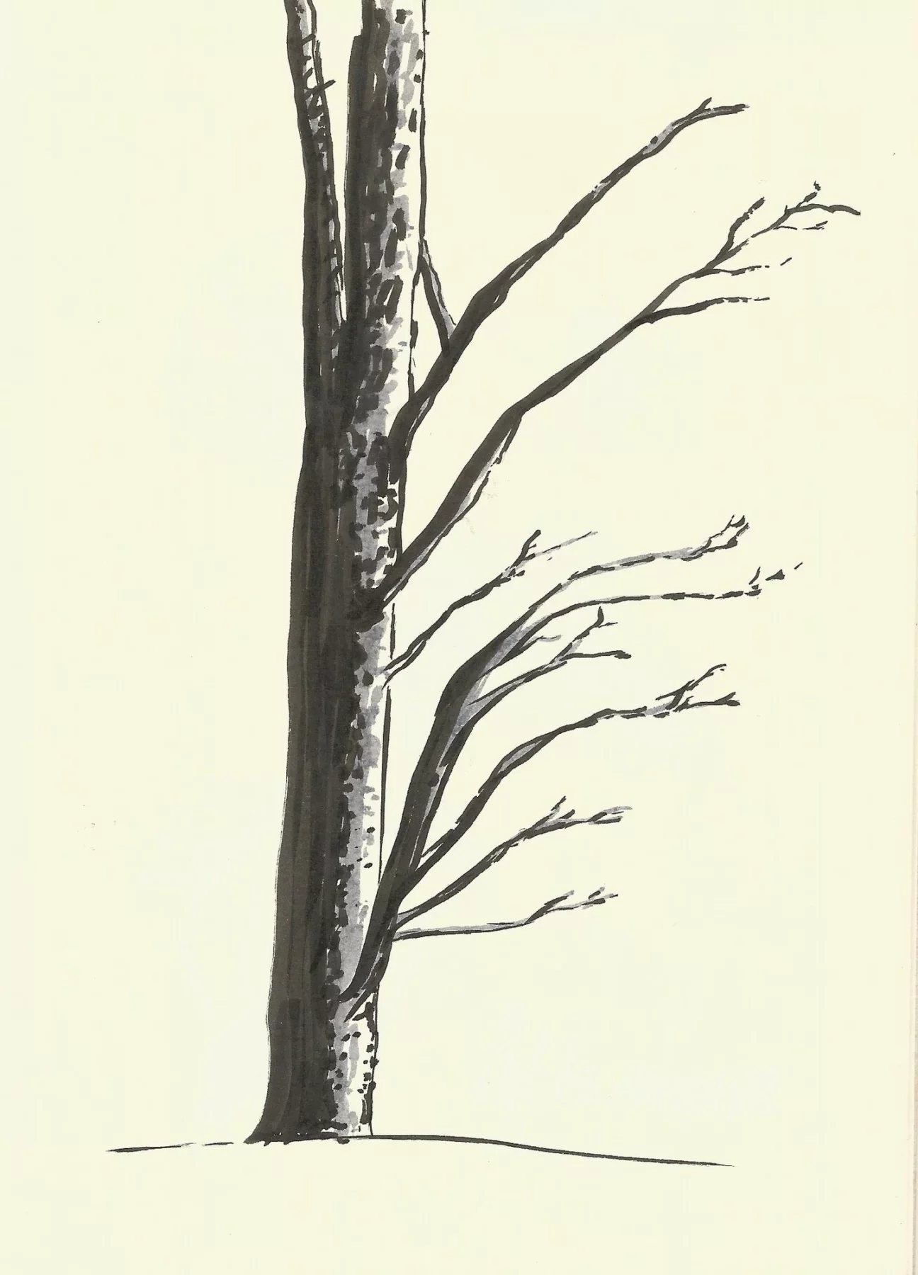 L’Arbre, Stylo et encre de Chine sur papier, 2020 — Julie Humbert - Artiste visuelle