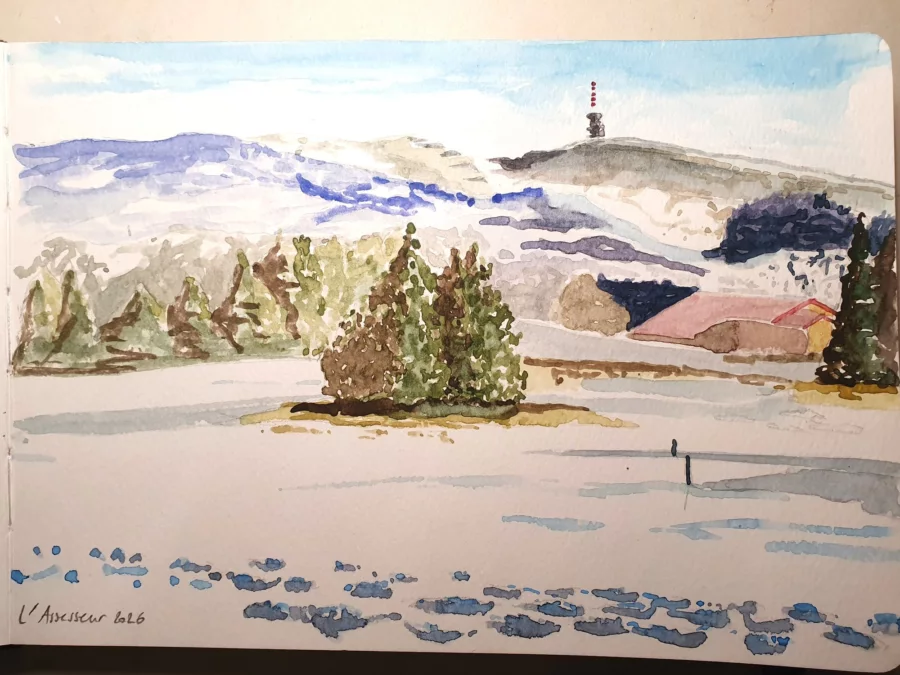 L’Assesseur, Aquarelle sur papier, 2026 — Julie Humbert - Artiste visuelle