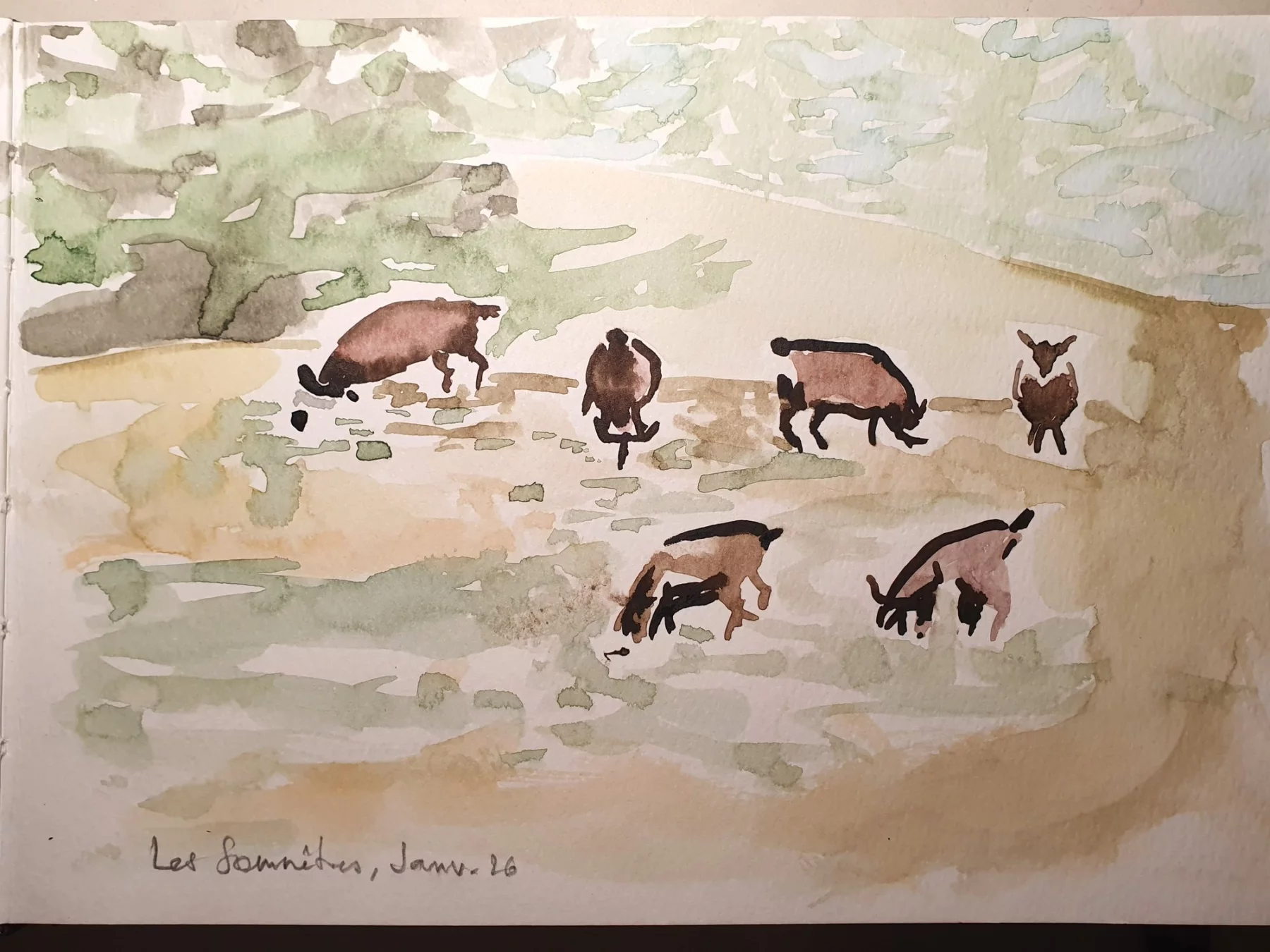 Les Sommêtres, Aquarelle sur papier, 2026 — Julie Humbert - Artiste visuelle