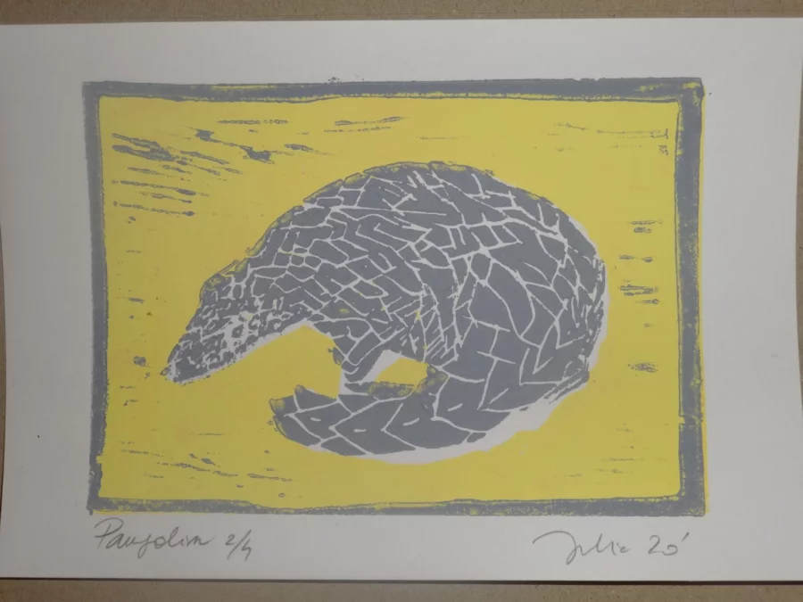Pangolin, Linogravure deux couleurs, 2022 — Julie Humbert - Artiste visuelle